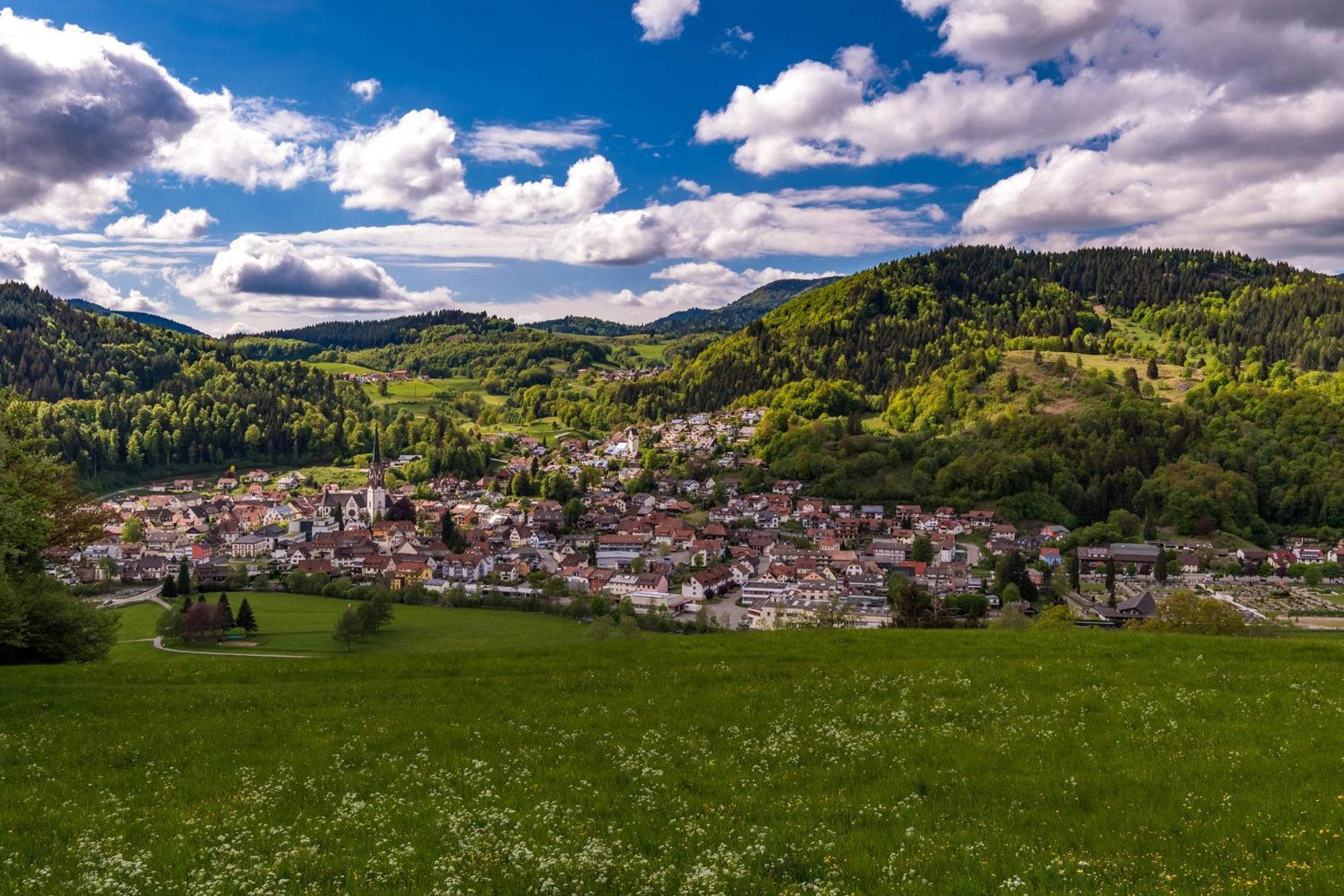Ferienwohnung Traumblick Шенау-ім-Шварцвальд Екстер'єр фото